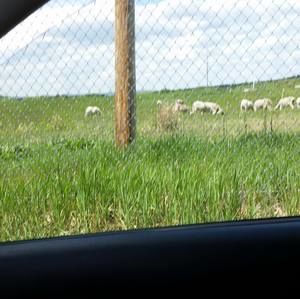 Meet your Posher, Judy